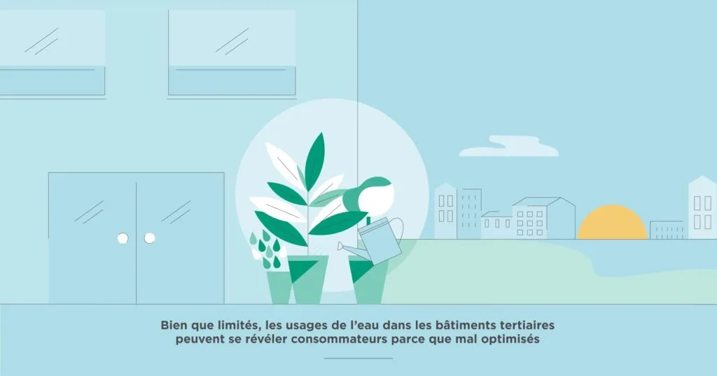 arrosage plante